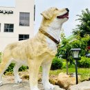 아이들랜드 이미지