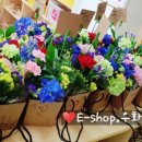 김포서초병설유치원 이미지