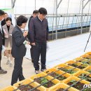 은선농장 이미지