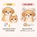 부평종로약국 이미지