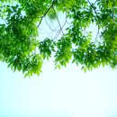 활기체육공원 이미지