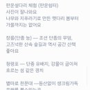 스테이 별 이미지