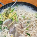 백칼국수