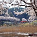 고남저수지 이미지