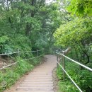 주말공원 네이버블로그