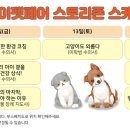 마이펫동물의료센타 네이버블로그