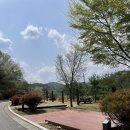 대산농협 증산연쇄점 | 경북 김천 증산수도계곡캠핑장 오토사이트(A구역) 후기