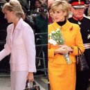 레이디올 이미지