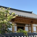 테라뷰 | 경주 황리단길 한옥 카페 대릉원뷰 테라로사 경주점 후기