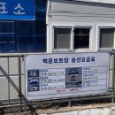 백운로 | 의왕나들이 @ 백운호수 오리배 보트장