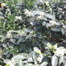 한국자산관리공사 통영지사 이미지