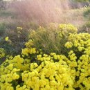 (주)유티아이 이미지