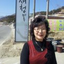 새청마루 네이버블로그