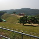 칠곡양떼목장 이미지