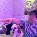 천사노래연습장 이미지