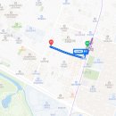 홀려버린닭 이미지