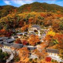 천년의향기 Daum카페