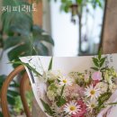 제피레토