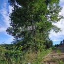 사후동저수지 이미지