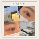 미쁘다뷰티군자점 | [군자역] 중곡동속눈썹 미쁘다뷰티군자에서 속눈썹 받은 후기