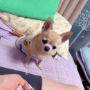 연두메디컬