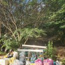 송계농원 | 내돈내산 충주 가볼만한곳 송계계곡 평상 대여 / 연내골농원 가격, 시설 이용후기