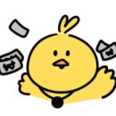 원더베이프 이미지