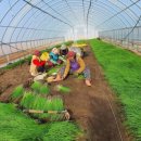 달래농장 이미지