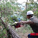 청주남중학교 이미지