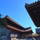 시바나라 | [공지] 11월 오사카 나라&amp;교토 버스투어 &#39;라쿠투어&#39; 내돈내산 대만족 후기