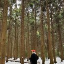 달뜨는목장 이미지