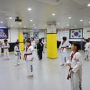 용인대 안산 타이거즈 태권도장 이미지