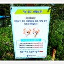 새영해어린이집 이미지