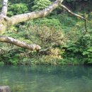 천지연랜드 이미지