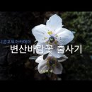 접사 촬영시 초점 때문에 힘드셨죠 / 라이트닝 D16 마크로 레일슬라이더 도브테일 플레이트 이미지