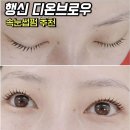 행신초등학교 | 행신 화정 속눈썹펌 디온브로우 추천 케라틴 수분펌 후기