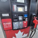 갈마풀페이주유소 | [밴프 여행] 캐나다 록키 헬기투어 후기 + 페이토호수 뷰포인트 &amp; 셀프주유 꿀팁 공개!