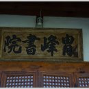 강진5호 이미지