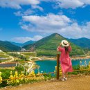 무릉 3지구 이미지