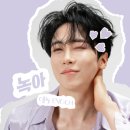 달콤 bnt뉴스