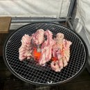 댕댕이 풀빌라 | 거제도 애견동반펜션 댕댕이풀빌라 VIP 내돈내산 후기