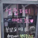 셀럽퍼피 이미지