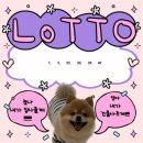 댕겨올개 | 부산 강아지 유치원 댕겨올개 추천 (2달 째 이용후기)/ 강아지 분리불안 해결