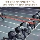 여행스토리 이미지