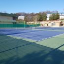 금성초등학교 이미지