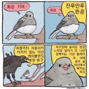 여름 오후의 슬러시