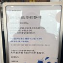포벨 | [서면 카페] 차백도 부산서면 1호점 후기