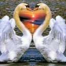 하루의 행복 이미지