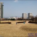 둔산 선사유적지 이미지