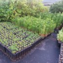 영림농장 이미지